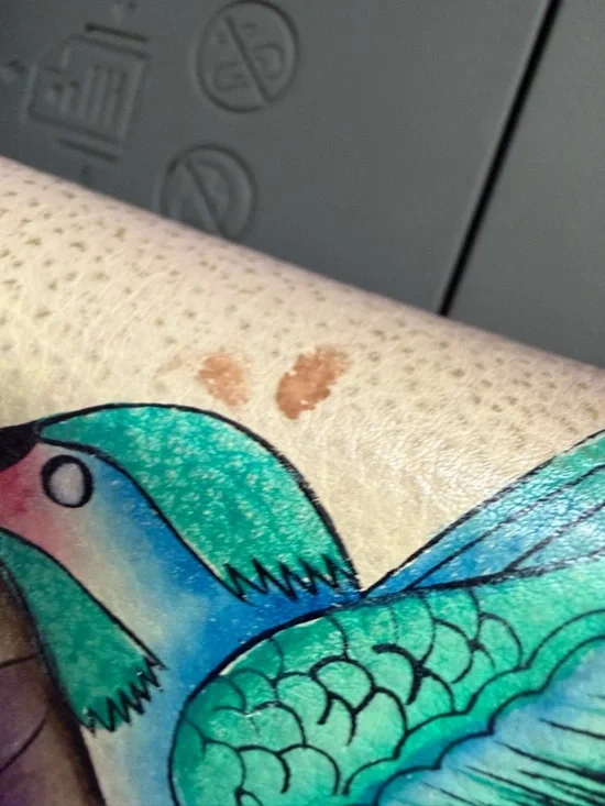 Anuschka Hand-Painted Hummingbird Floral Wallet in Pink Yellow Leather - Picture 4 of 10